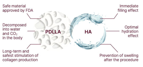 Lenisna PDLLA +HA Singapore