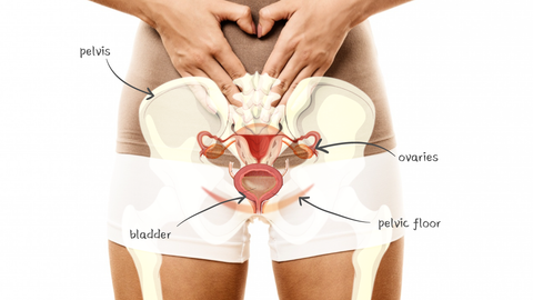 Urinary Incontinence and Pelvic Floor | IMAGO Aesthetic Wellness